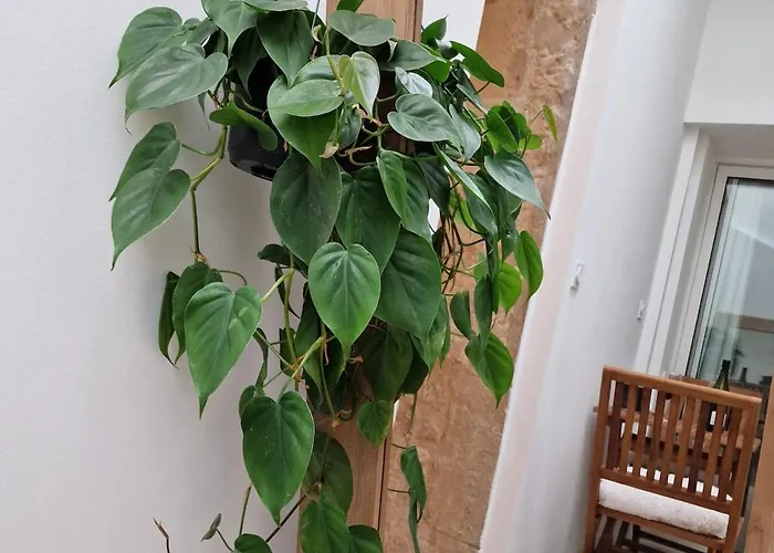 Le Saint Baudile 80sqm Parking Ac Church View Διαμέρισμα Νιμ